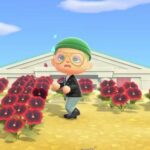 Возвращение в Animal Crossing New Horizons через год